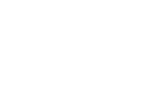 The magnetic energy